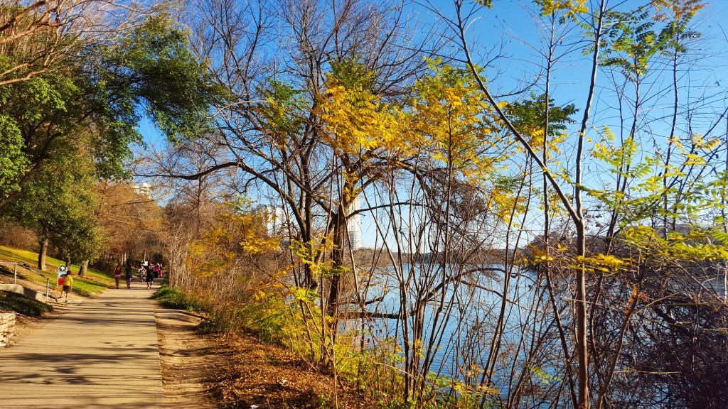 lady bird trail, austin