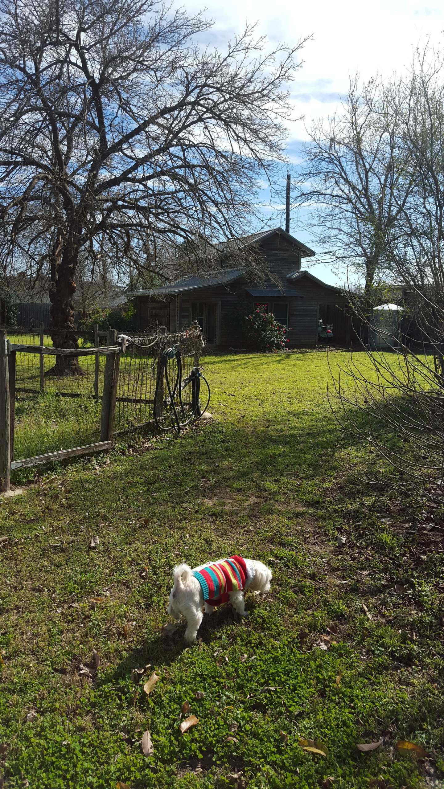 Zilker Neighborhood Austin, TX Wander with Bri