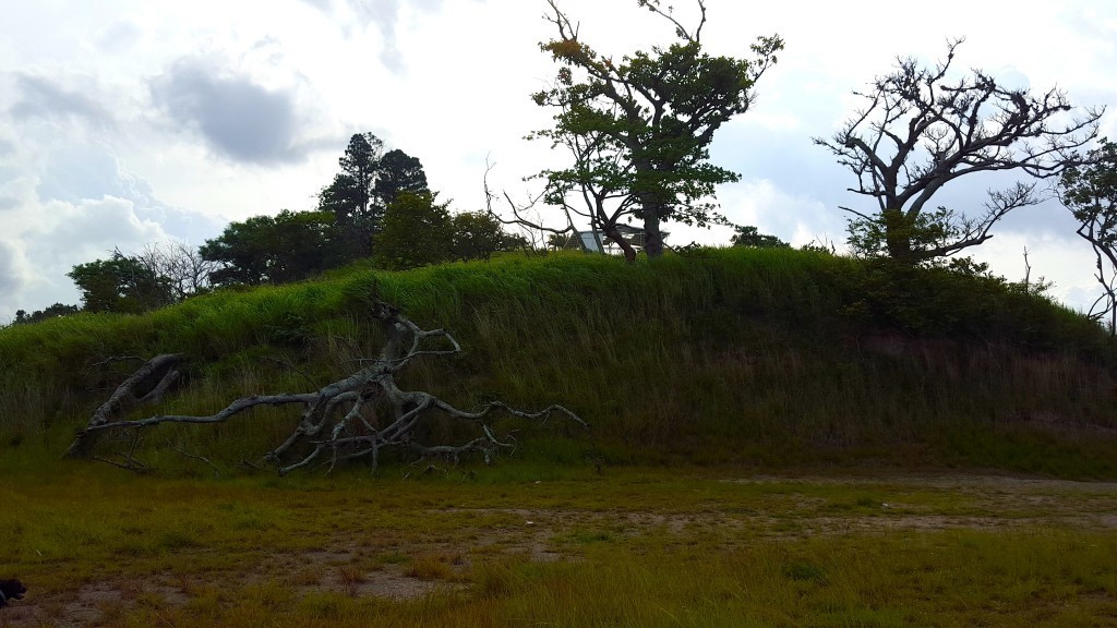 escazu scenery