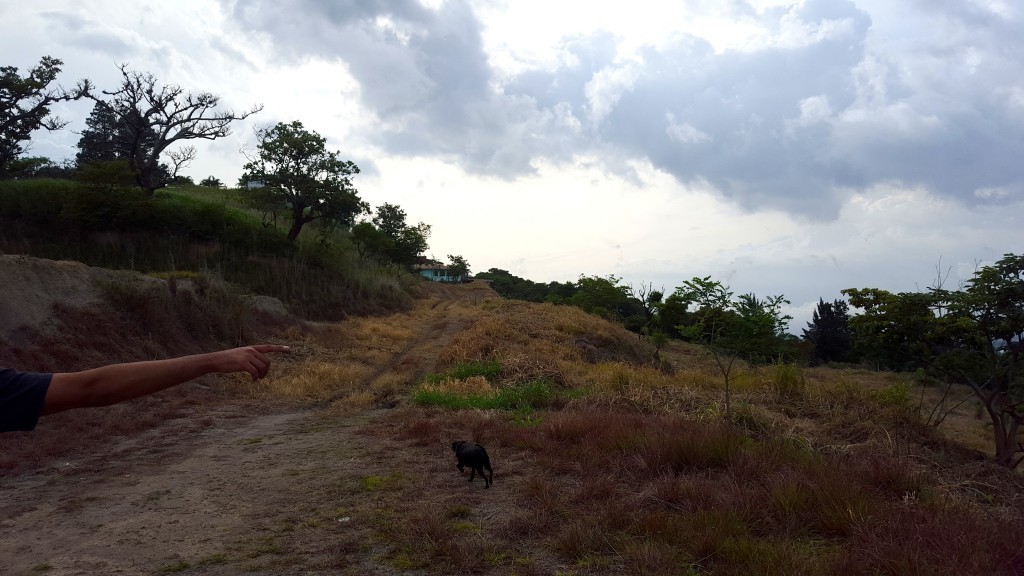 escazu scenery