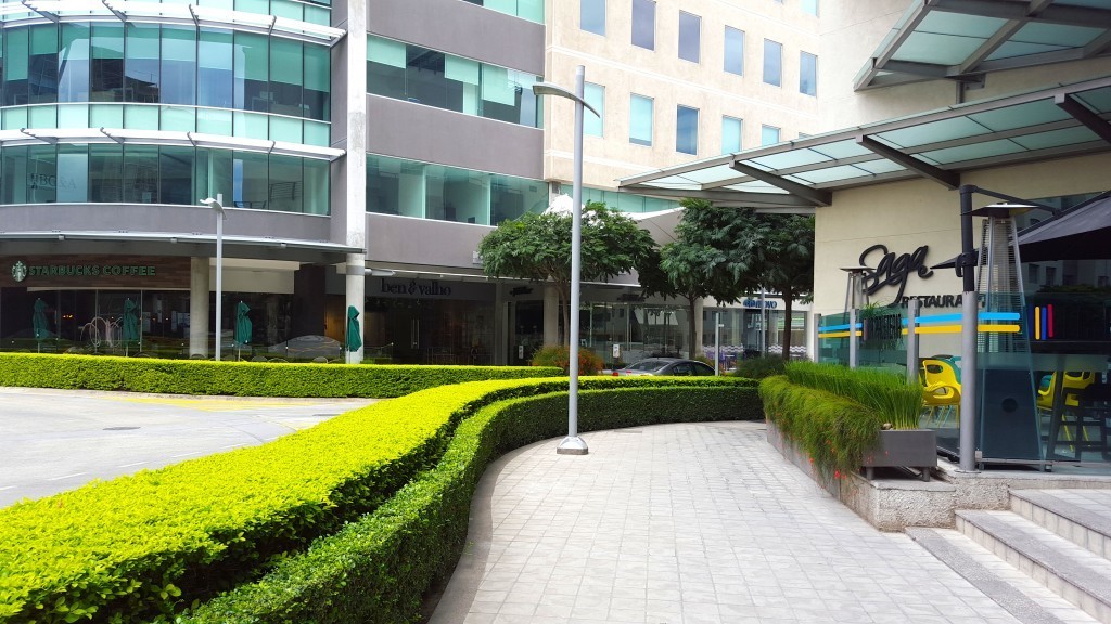 avenida escazu