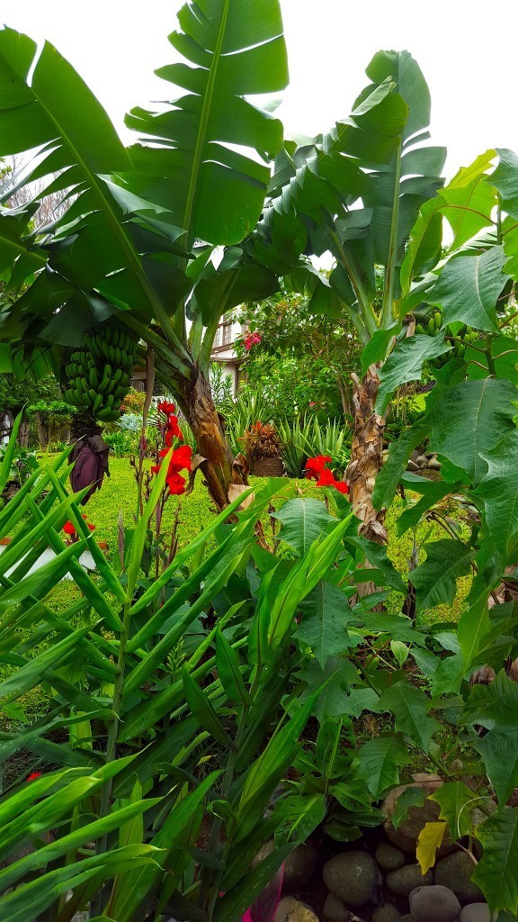 escazu56