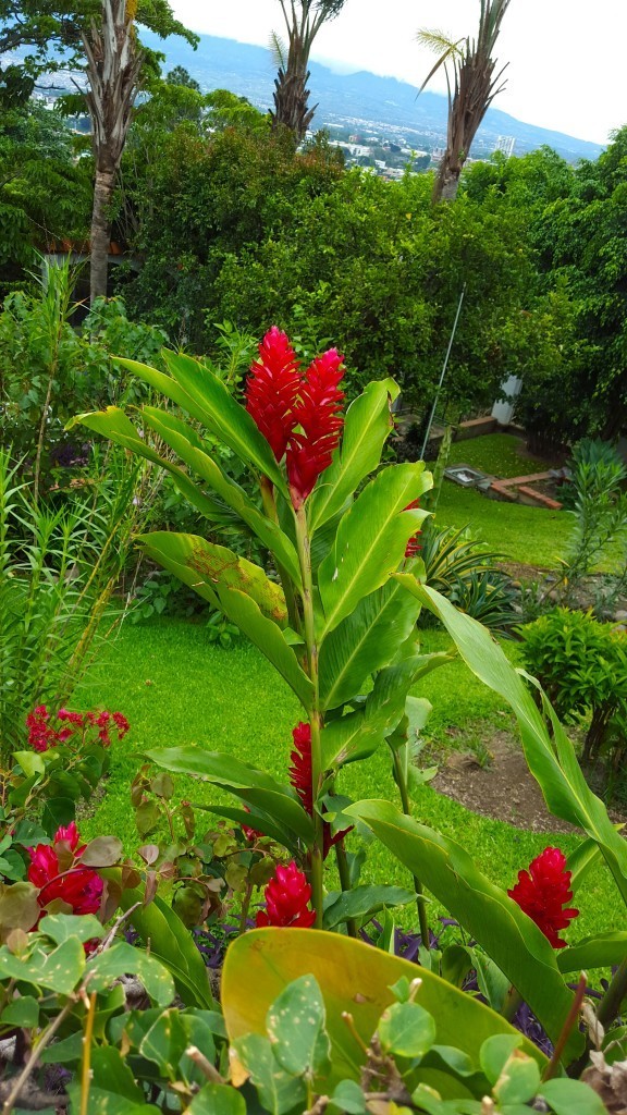 escazu59