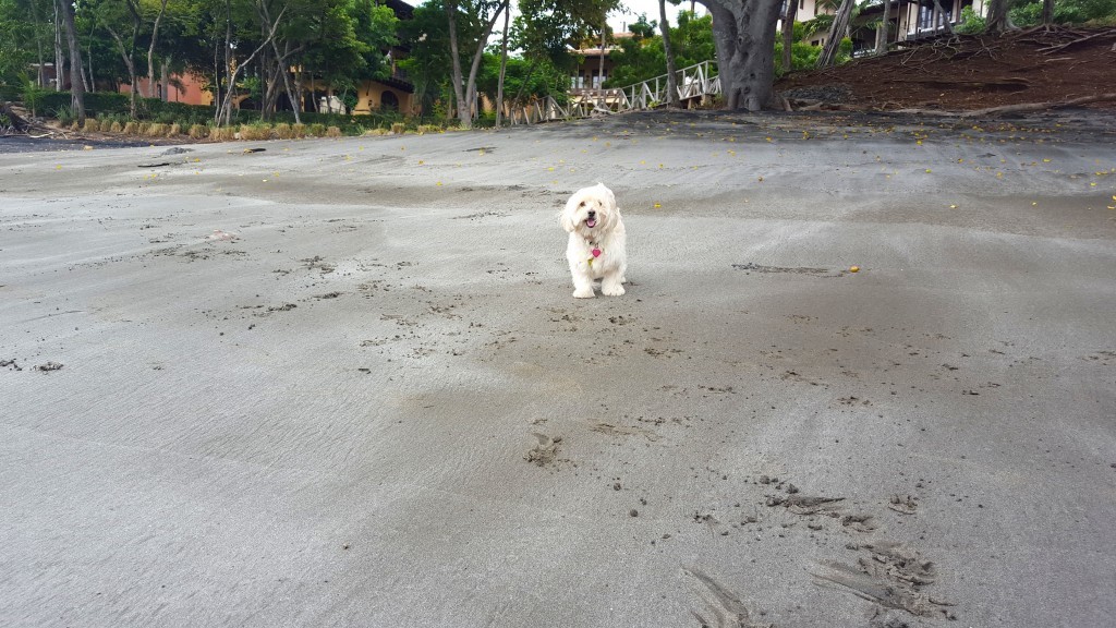 rileyplayadanta
