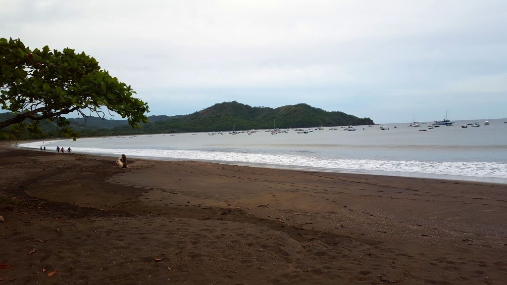 cafe de playa - coco