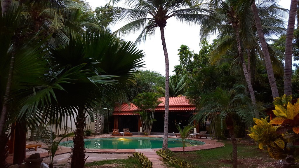 cafe de playa - coco