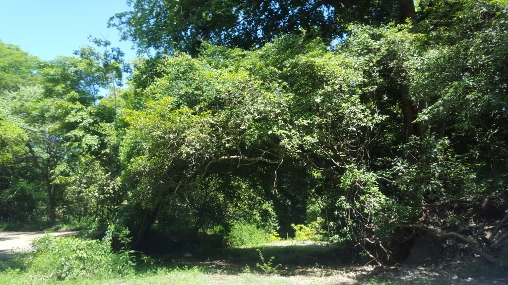 driving to playa del coco
