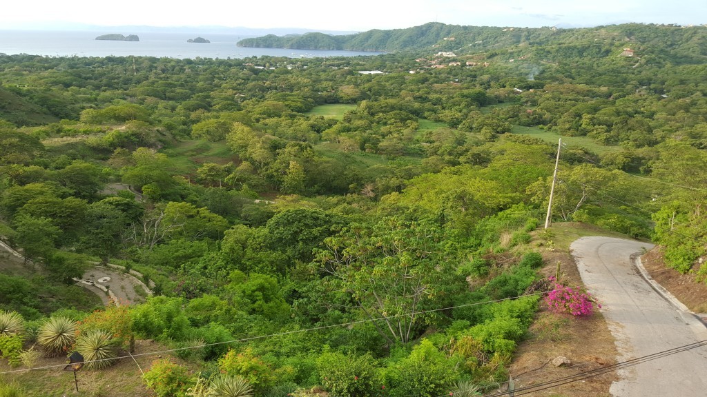 the lookout