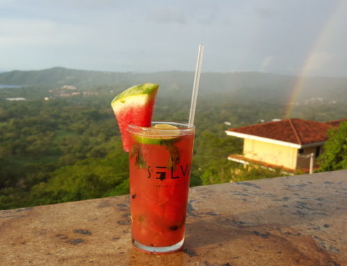The Lookout, Playa del Coco, CR