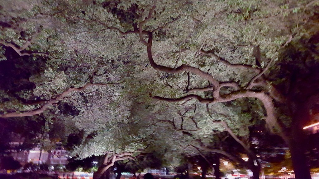 discovery green