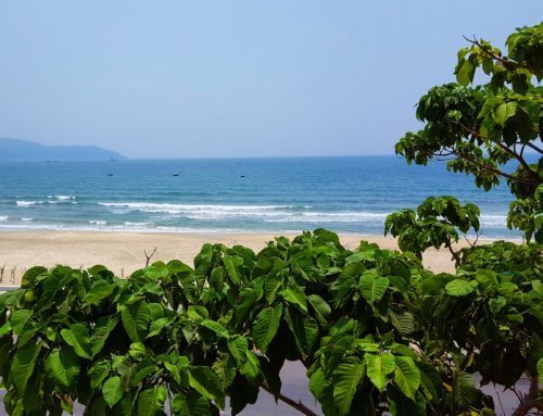Jazz Hotel, Dog Friendly Beach Hotel in Da Nang, Vietnam