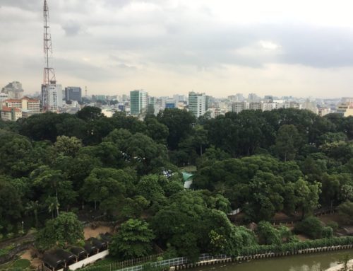 Botanical Zoo Airbnb Apt – HCMC, Vietnam